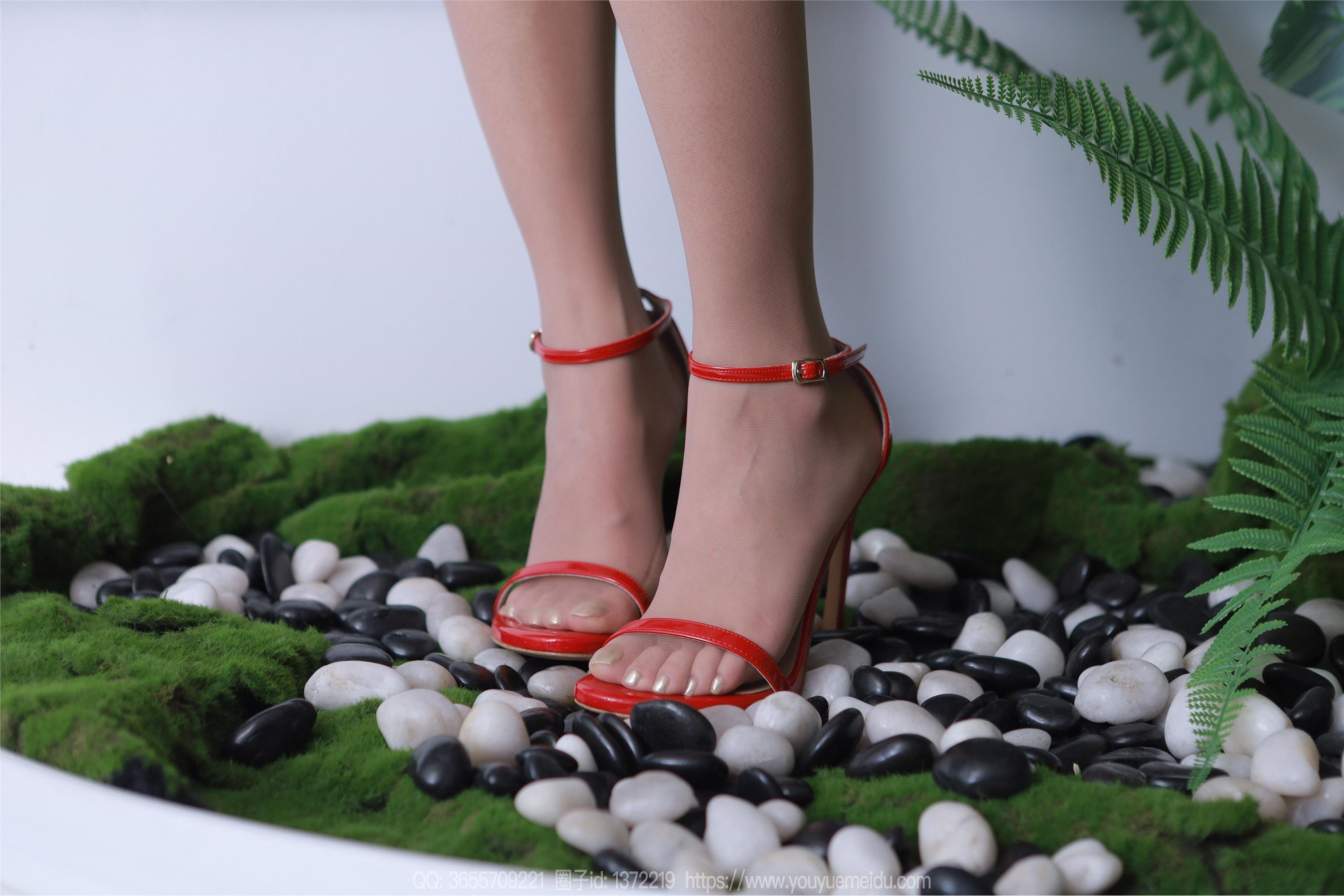 IESS异思趣向  2024.04.16 丝享家 1717 婉萍《绿野仙踪》